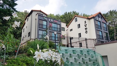 평화로운 소담펜션 전경