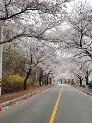 소담펜션 오시는 길