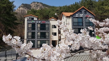 소담펜션 봄풍경